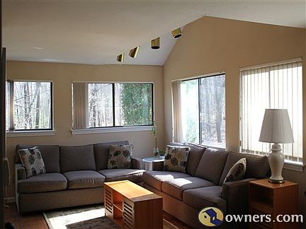 Bright Living Room with Lots of Windows