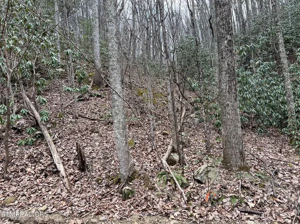 120 John Sevier Dr, Sevierville, TN 37876