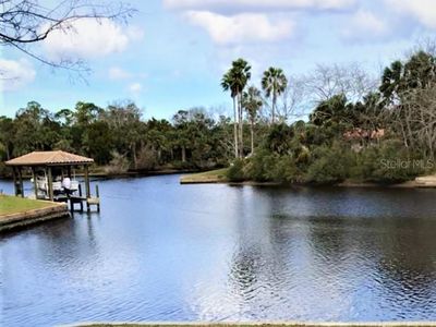 5 Cree Ct, Palm Coast, FL, 32137