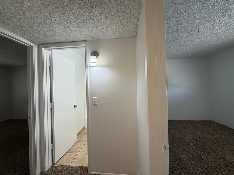 2950 N Alvernon Way #10103 — Photo 20