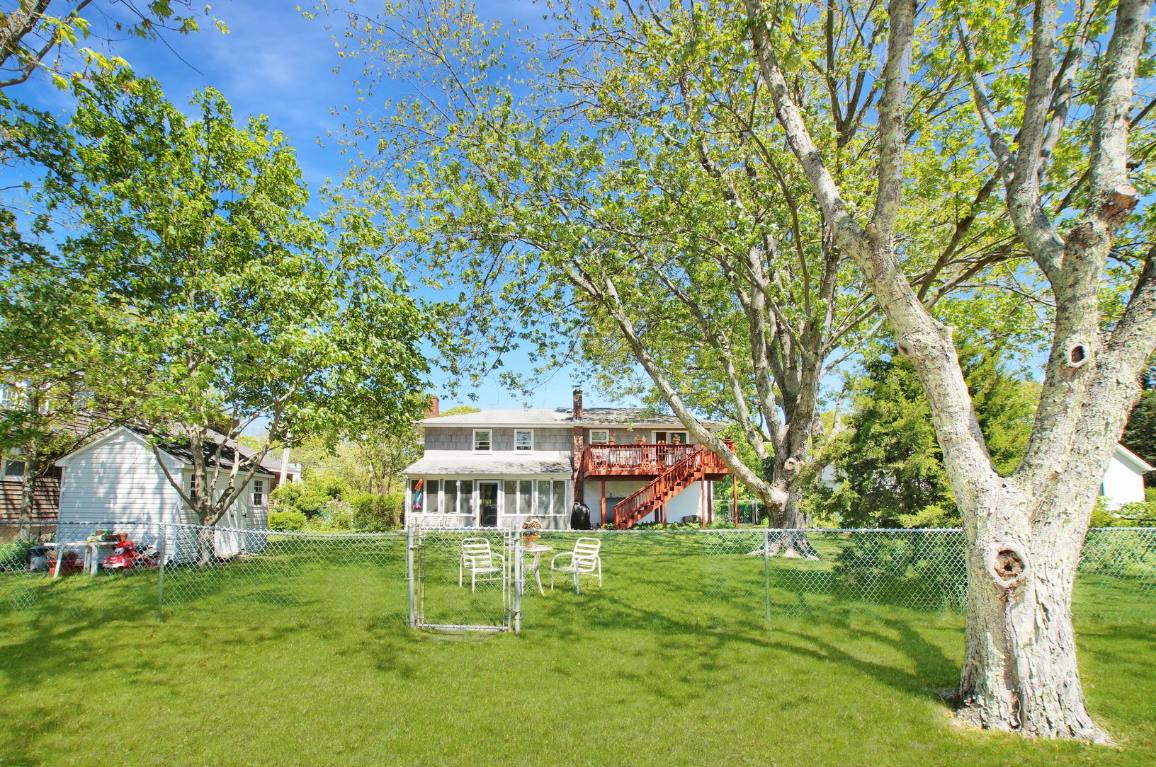 Back Yard