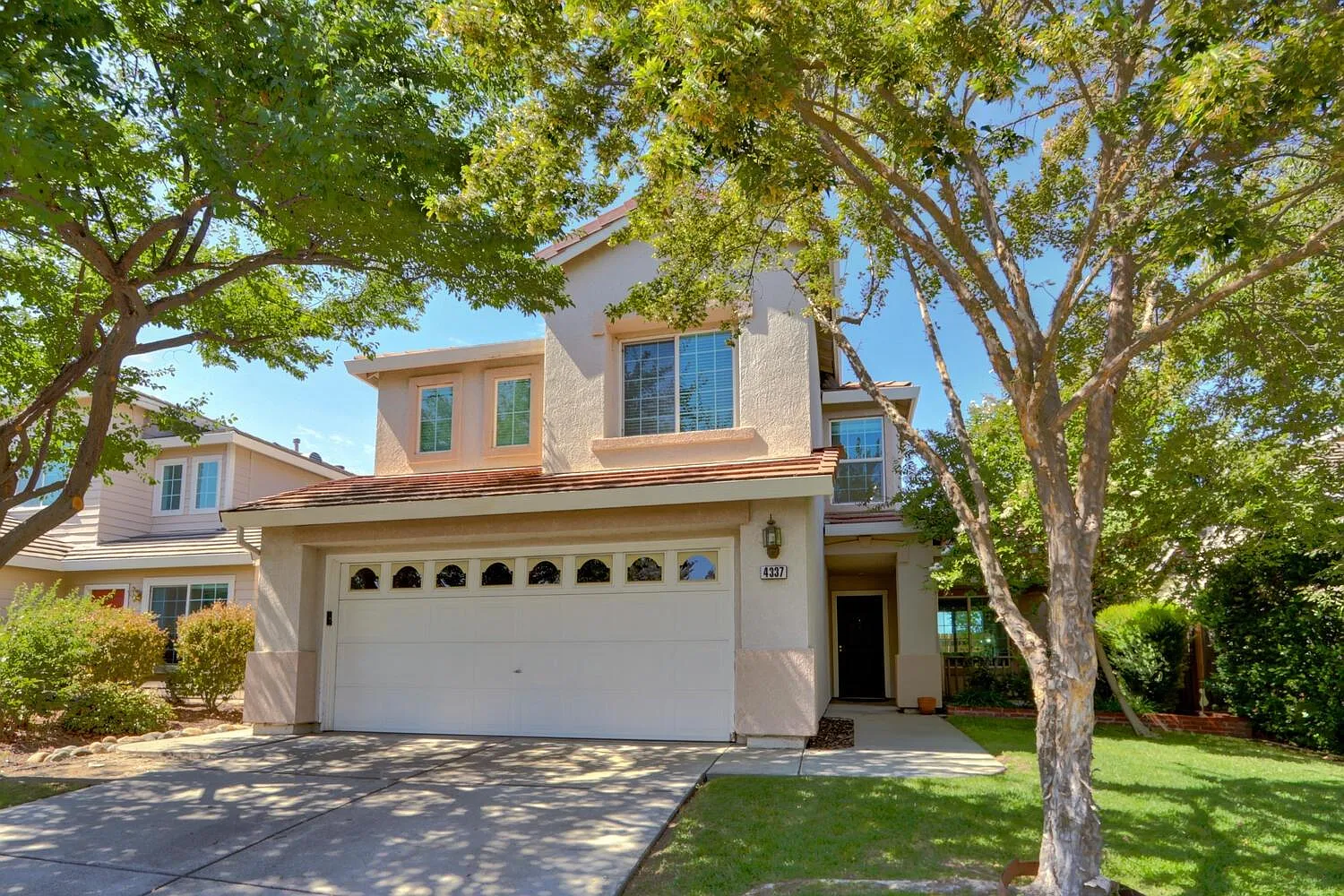 4337 Frontera Dr photo 1