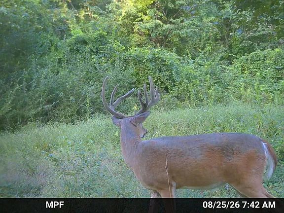 5th image of 2320 County Rd
