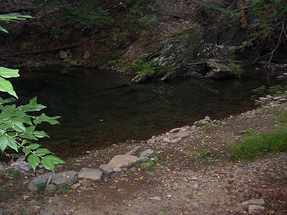 Fully stocked trout stream lines back of property!