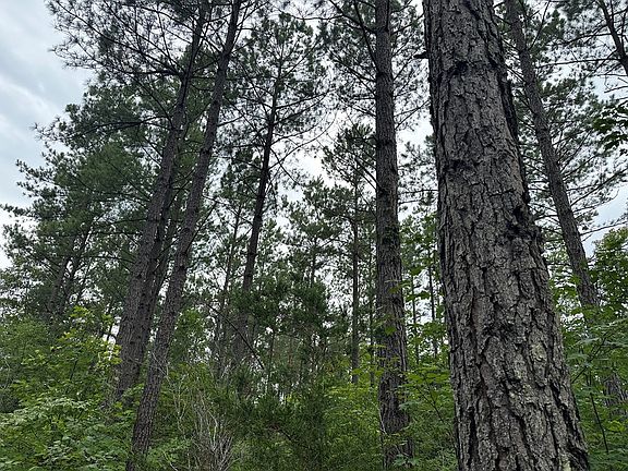 5th image of 120 Acs Davis Lowground Rd