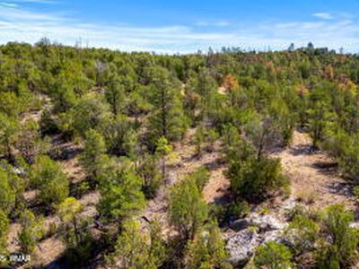 3654 Zane Grey Trl, Overgaard, AZ, 85928