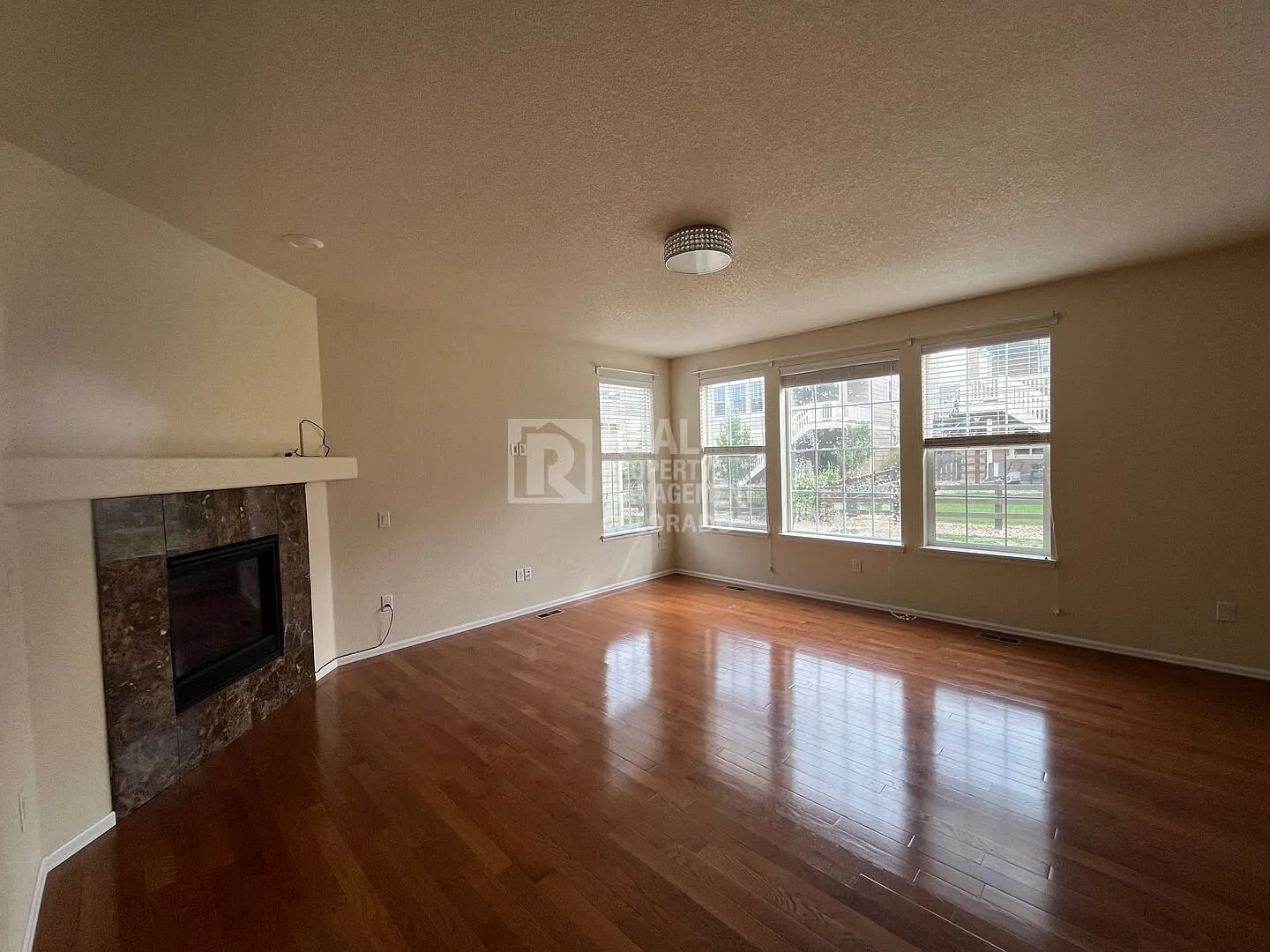 Check out this Beautiful 4-Bedroom Home in Flatiron Meadows Erie, CO — Photo 3