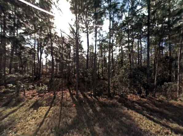 4 LLEBERRY PATH LOT 13, PALM COAST, FL 32164