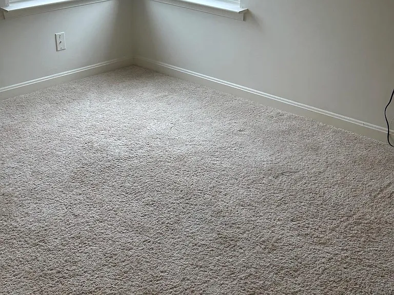 6821 Hollow Glen Ct — Photo 34