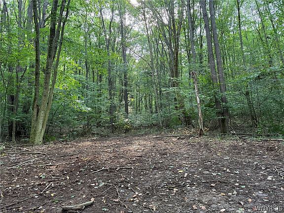 3rd image of 3992 Bear Hollow Rd Lot 3