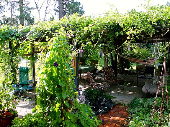 Pergola Summer