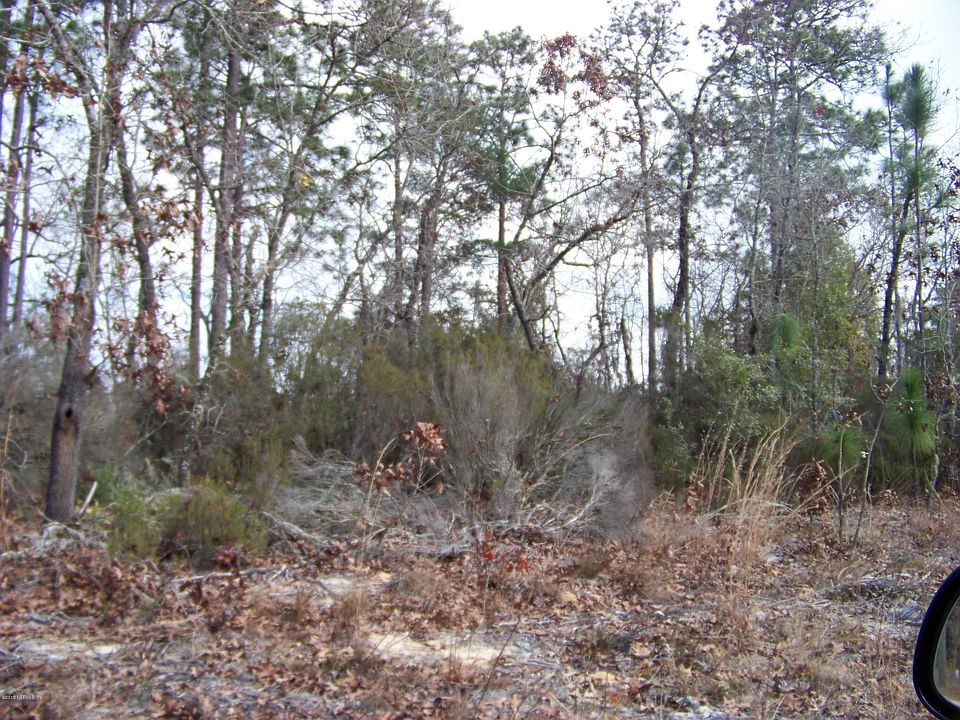 2nd image of 124 Cornell Street