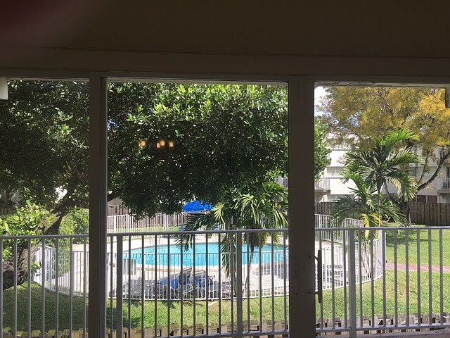 Swimming Pool View