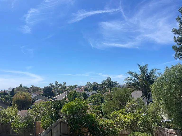 2415 Levante St — Photo 3