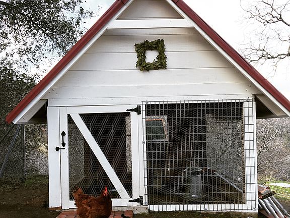 Chicken Coop