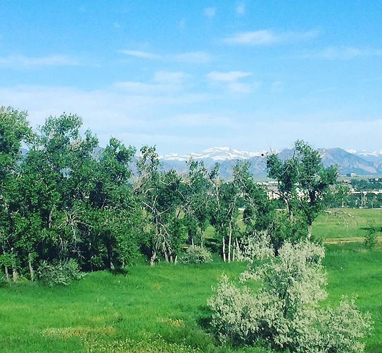 Backyard view