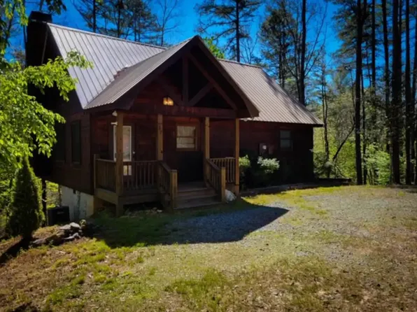 37 Branch Dr, Mineral Bluff, GA 30559