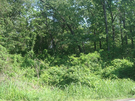 2nd image of 000 Oakwood Trail
