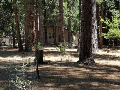 20201 Kit Ct, Volcano, CA, 95689