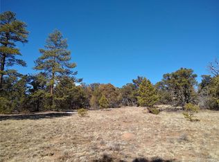 3152 Indian Wells Rd #228, Cotopaxi, CO