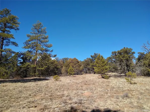 3152 Indian Wells Road LOT 228, Texas Creek, CO 81223