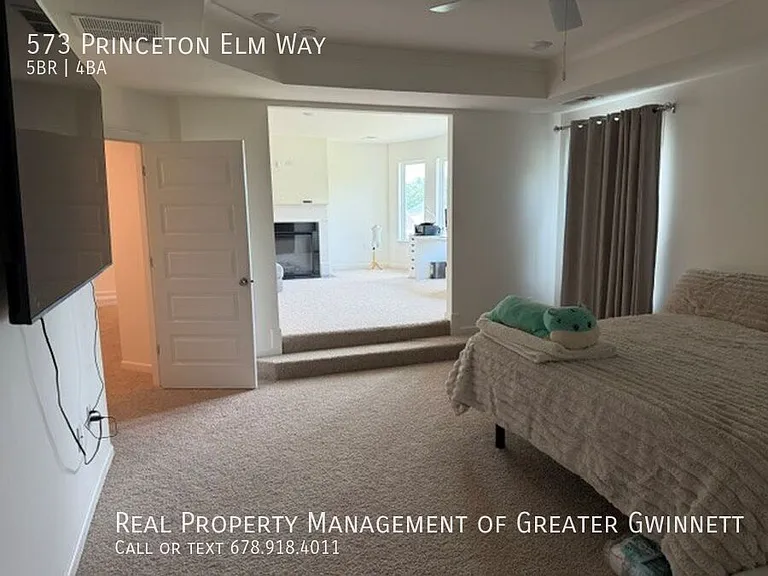 573 Princeton Elm Pl — Photo 9