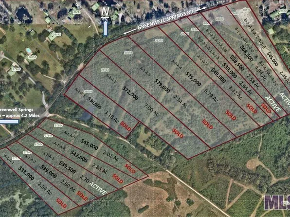 LOT Greenwell Springs Rd #D, Greenwell Springs, LA 70739