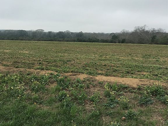 4th image of 4050 County Road 708 Rd