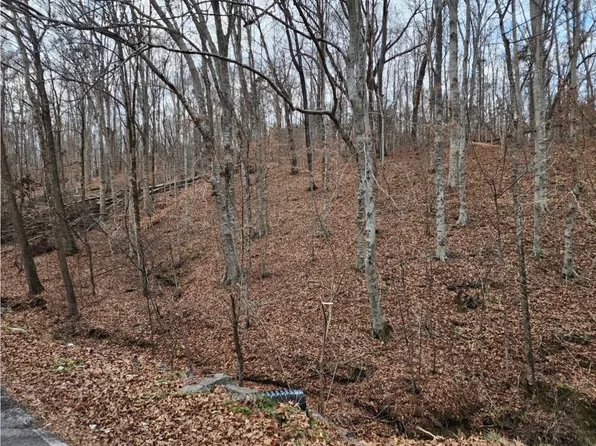 0 W Garretts Creek Rd, Westmoreland, TN 37186