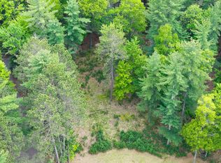 LOT 8 Forest Cir, Woodruff, WI 54568