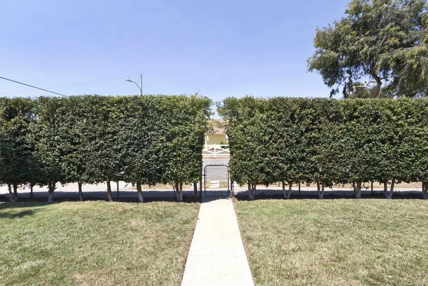 156 Carr Dr — Photo 3