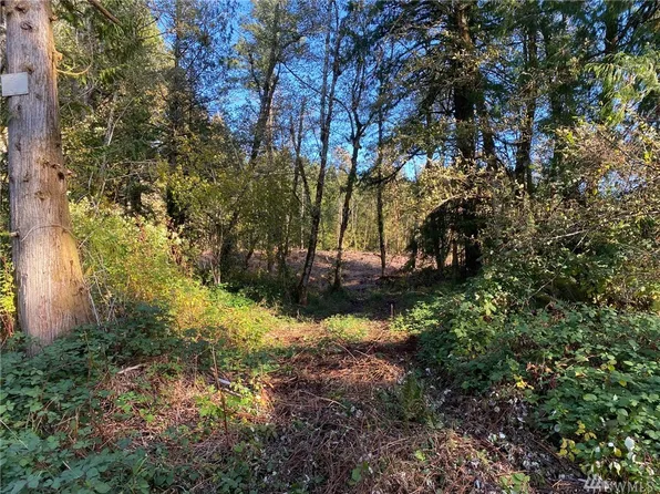 601 E Libby Rd, Shelton, WA 98584