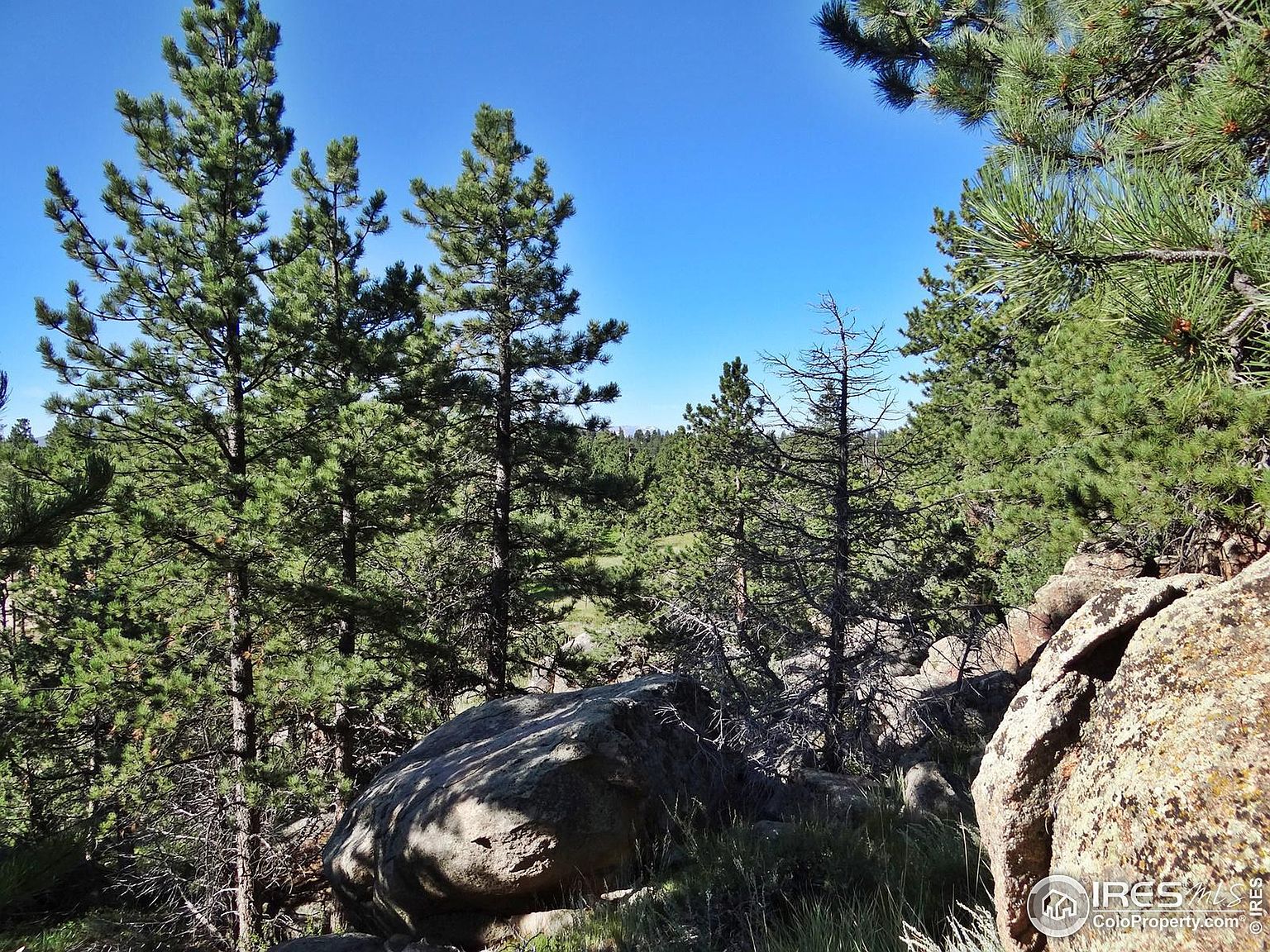 289 Mount Elbert Ct, Livermore, CO 80536 MLS 994170 Zillow