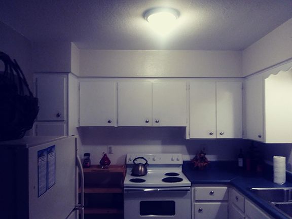 5th image of 1133 Grove St #2