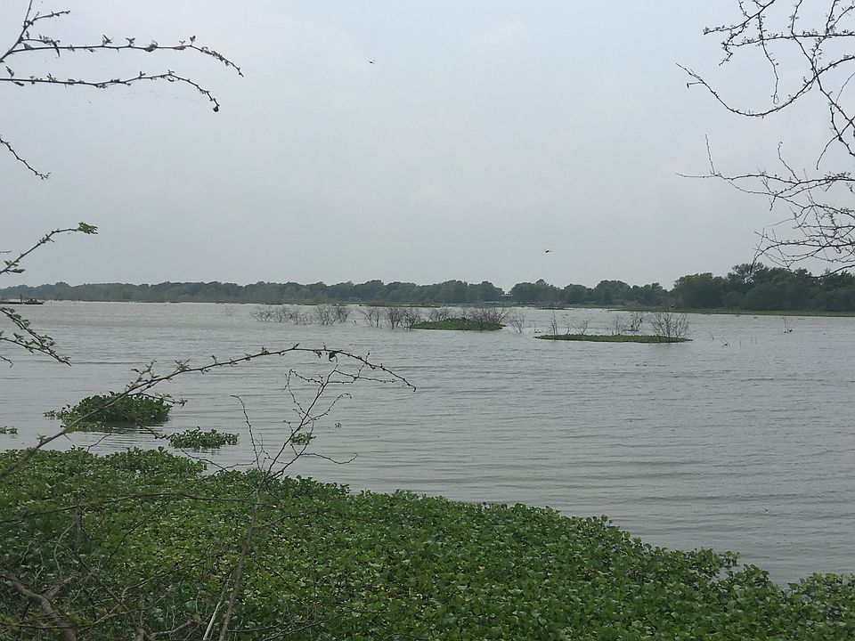 2nd image of Phase 1 Lo Peninsula Dr
