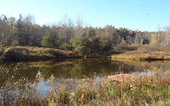 2nd image of 319 County Road 47