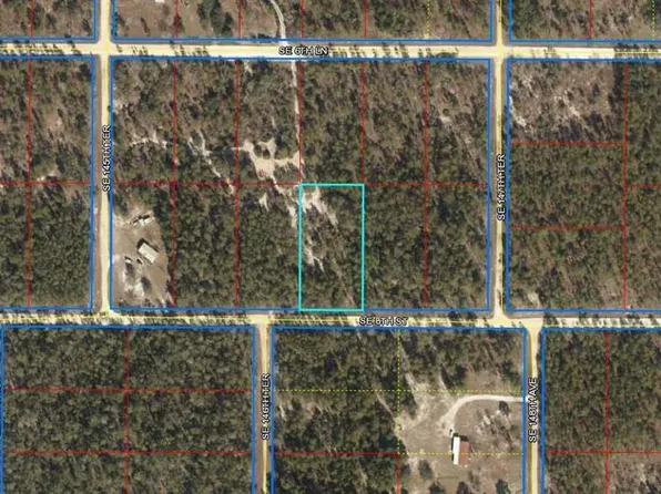 SE 8th St, Williston, FL 32696