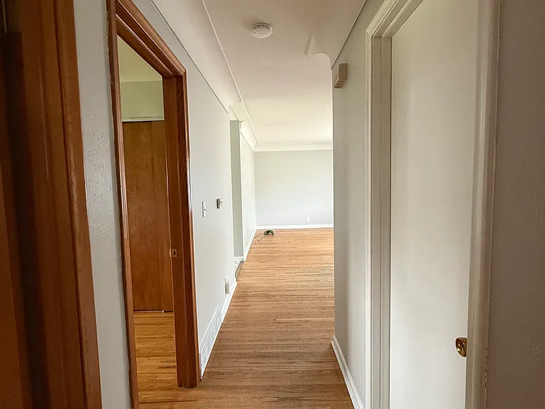 1047 Kirk St — Photo 6