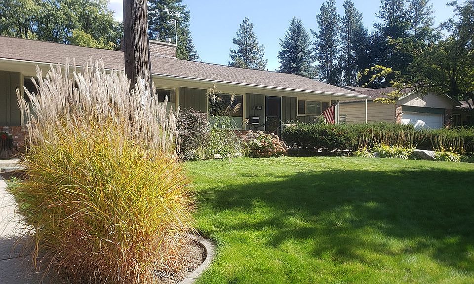 Front yard
