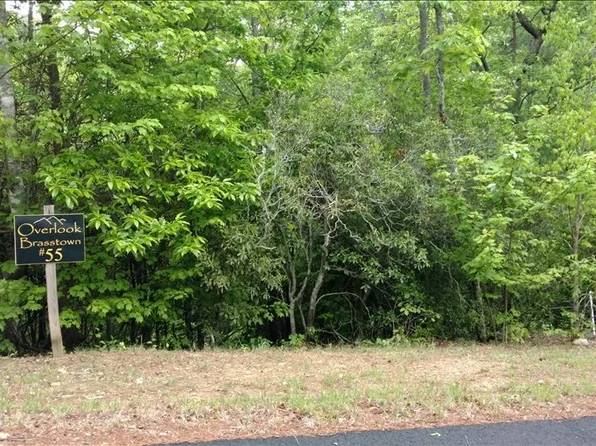 LOT 55 Brasstown Vw, Brasstown, NC 28902