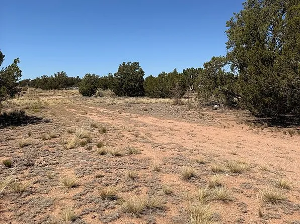 4631 E Buffalo Rd, Williams, AZ 86046
