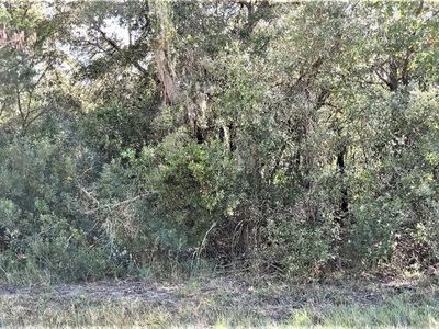 SE 23rd Pl LOT 5, Morriston, FL, 32668
