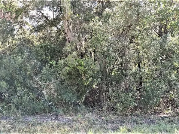 SE 23rd Pl Lot 5, Morriston, FL 32668