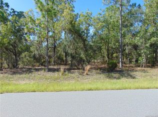 2872 W Gaucho Dr, Citrus Springs, FL 34433