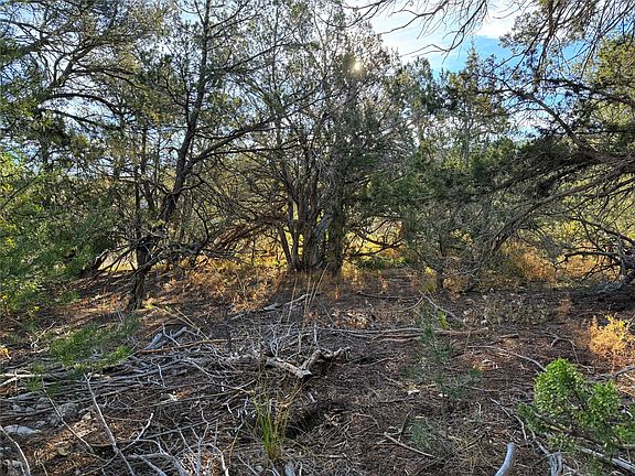 4th image of 9 Peterson Rd