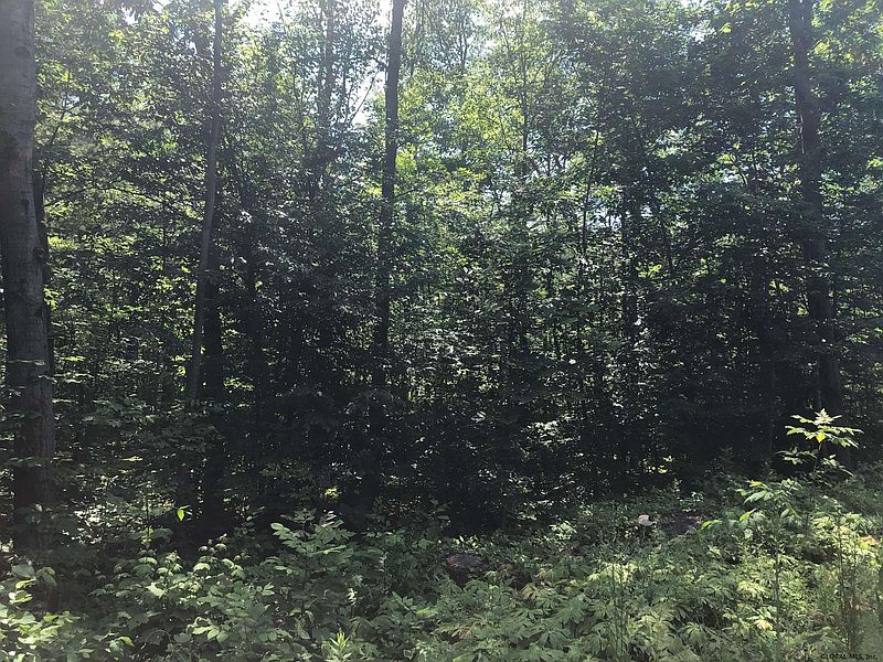 3rd image of 0 ROOT Road