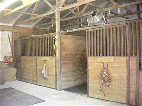 Horse Stalls