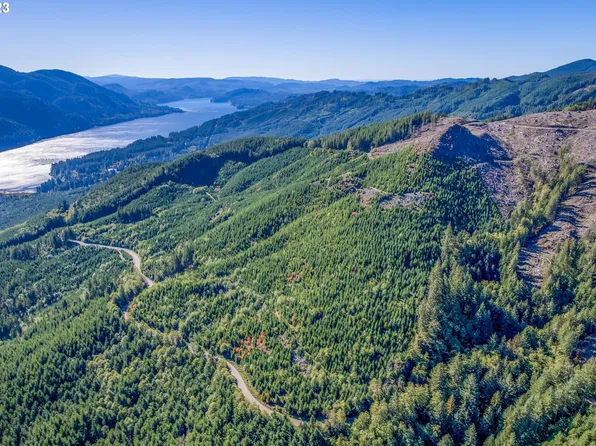 Usfs 81 Rd, Cougar, WA 98616