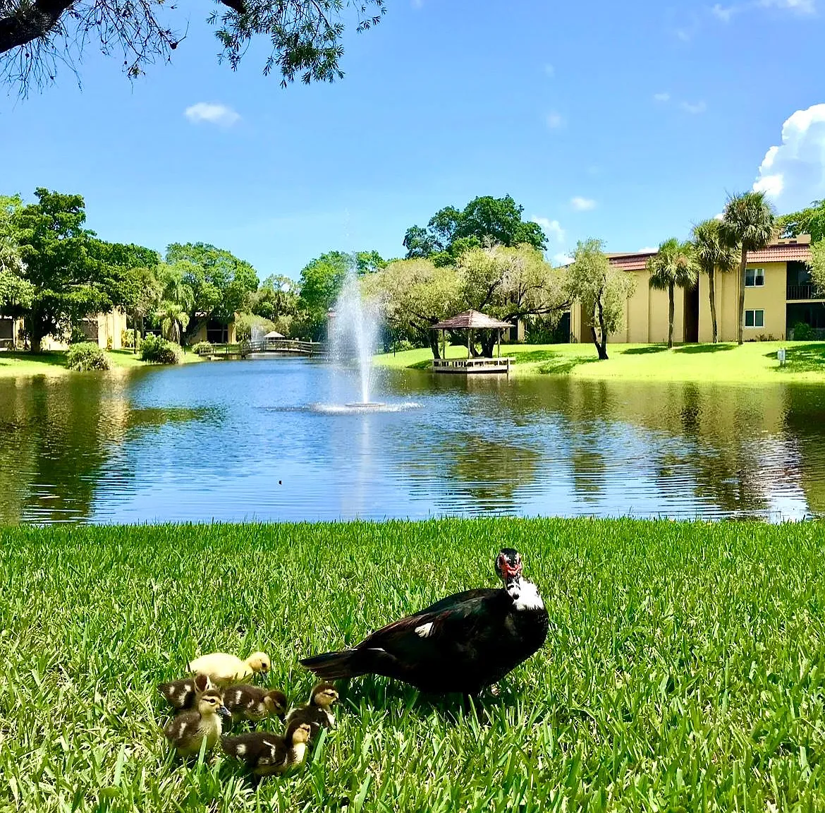 1 bed, 715 sqft, $2,180 — Photo 2