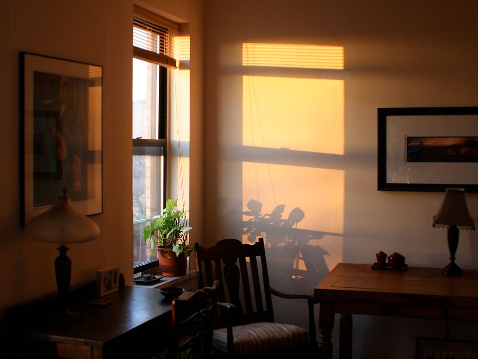 Sun drenched mornings